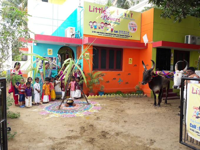 Little Flowers Kids Play School
